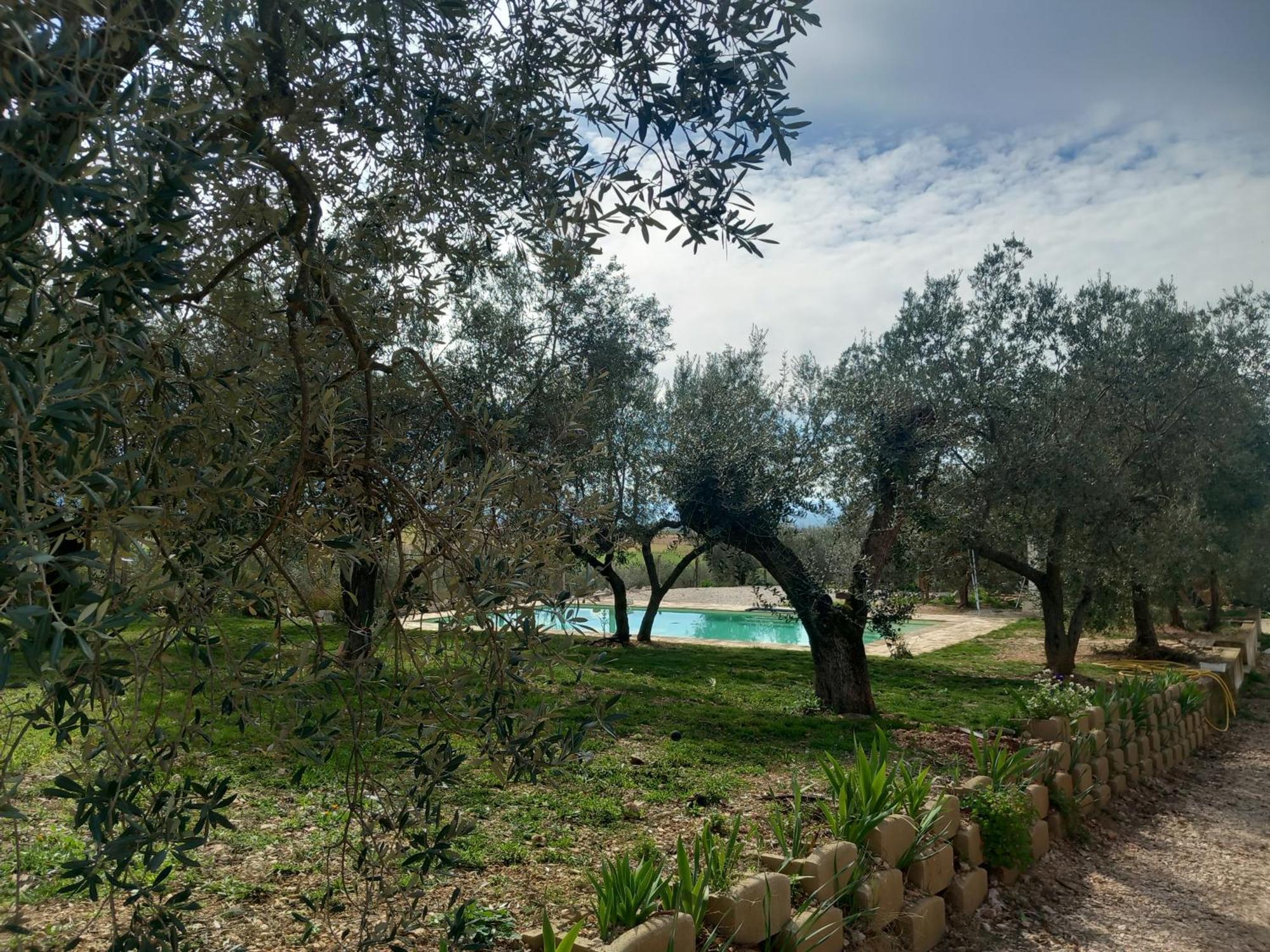 Agriturismo Uliveto Benedetti スポレート エクステリア 写真