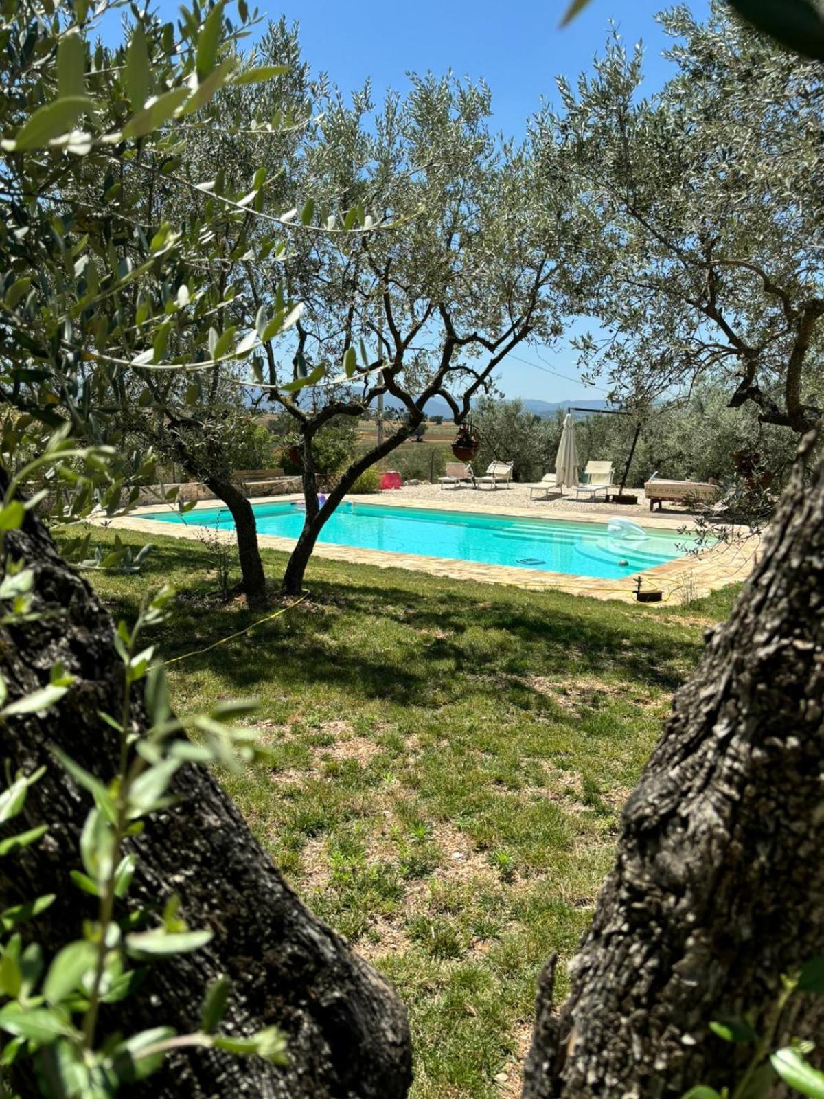Agriturismo Uliveto Benedetti スポレート エクステリア 写真